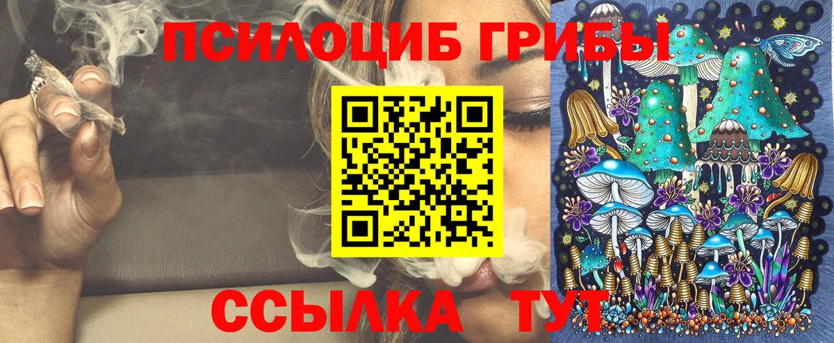 Псилоцибиновые грибы Magic Shrooms  Вход с VPN  Ишимбай  сколько стоит  Галлюциногенные грибы мицелий 